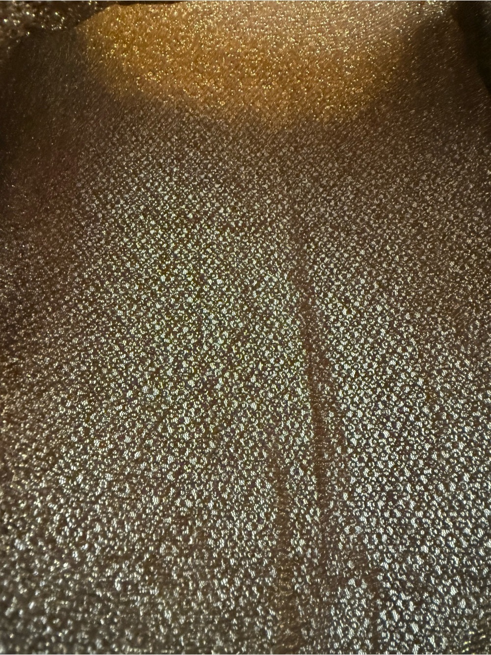 Intimately Free People Late Night Disco Brown Sequin Scoop-Neck Lng Sleeve Top L - Picture 10 of 15